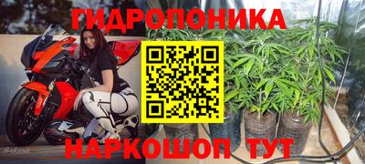 каннабис Сланцы
