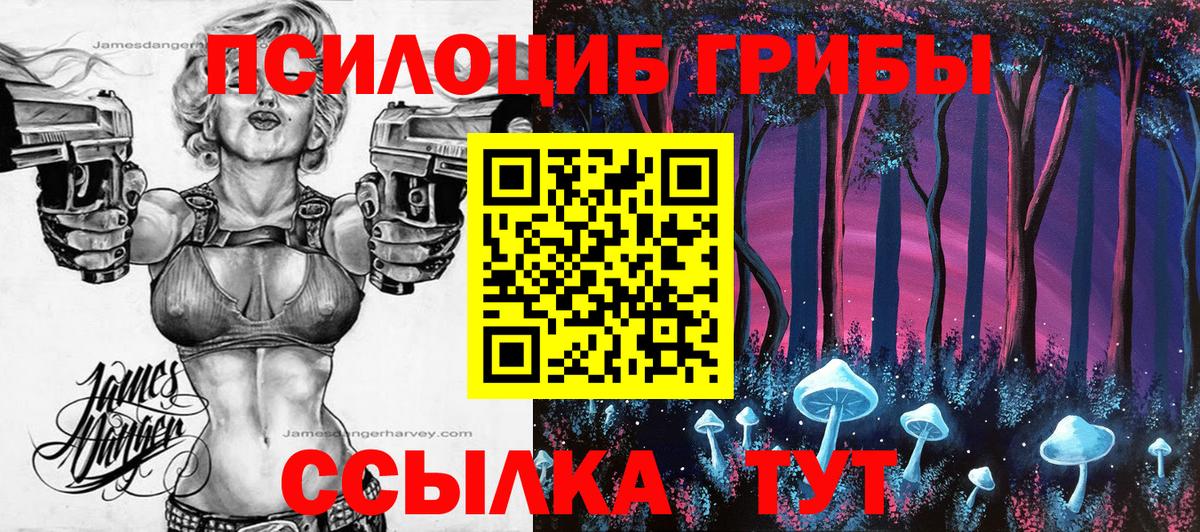 Галлюциногенные грибы GOLDEN TEACHER Курган