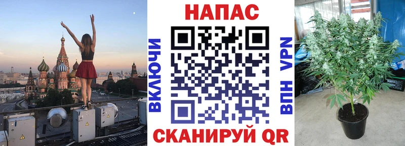 МАРИХУАНА планчик  купить наркотик  Курган 